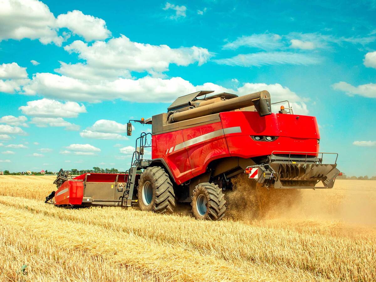 Red harvester harvesting wheat