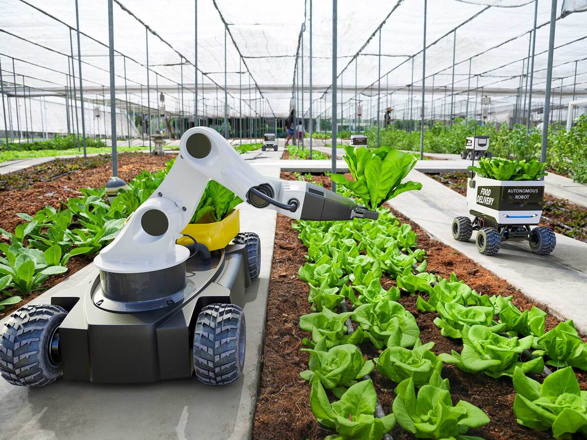 Robotic arms on wheels tend to a greenhouse garden