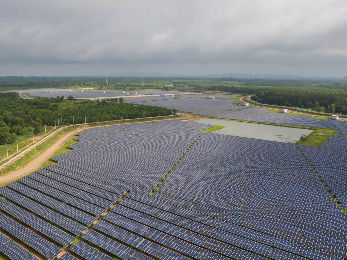 A photo of a solar farm