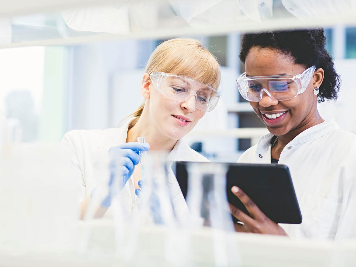 Two scientists working together