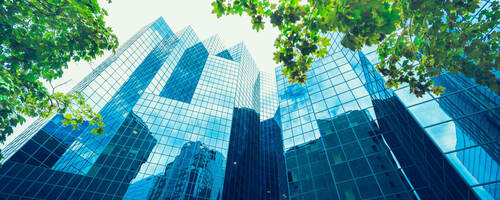 Upward view of trees against glass skyscrapers